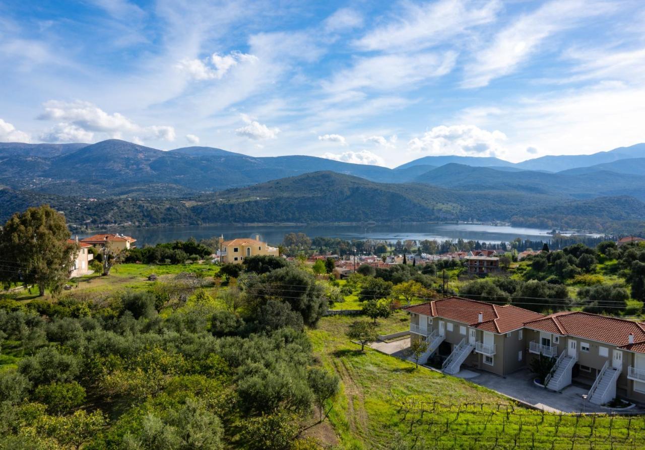 Apaggio Di Argostoli Apartments - Private Parking & Sea View Zewnętrze zdjęcie